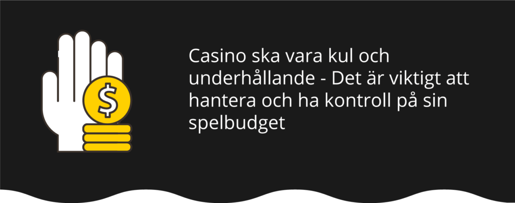 Spela casino ansvarsfullt