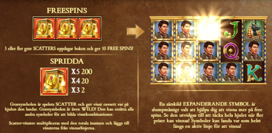 Book of Dead free spins