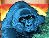 Congo Cash gorilla. 