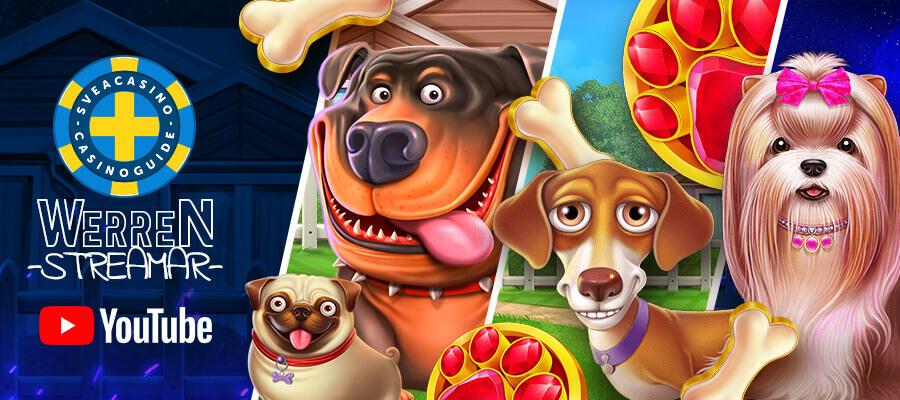 Vilka slots i Dog House-serien är bäst?