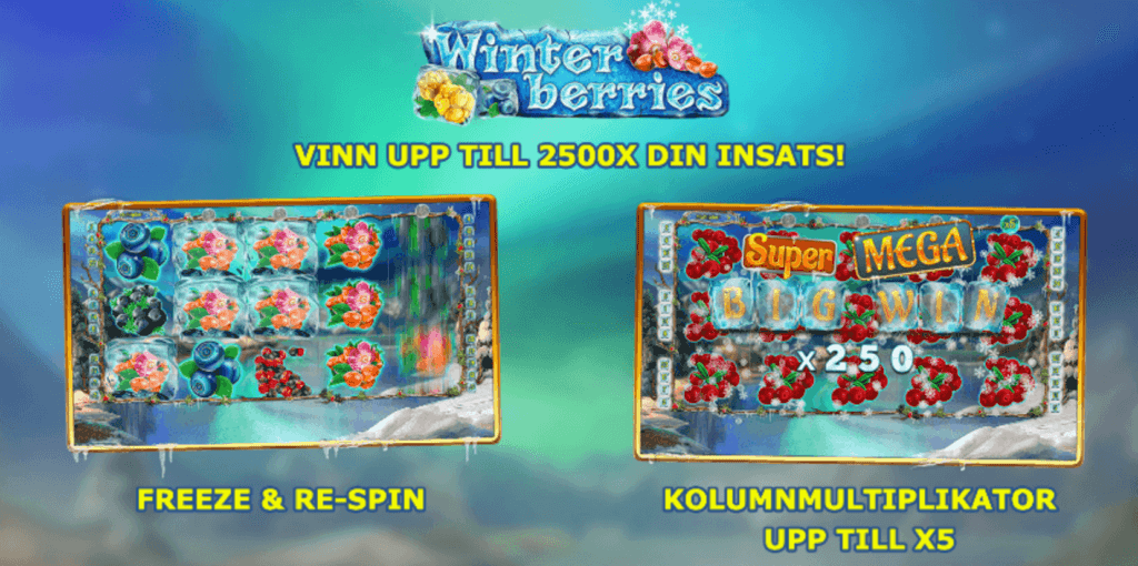 Winterberries slot.