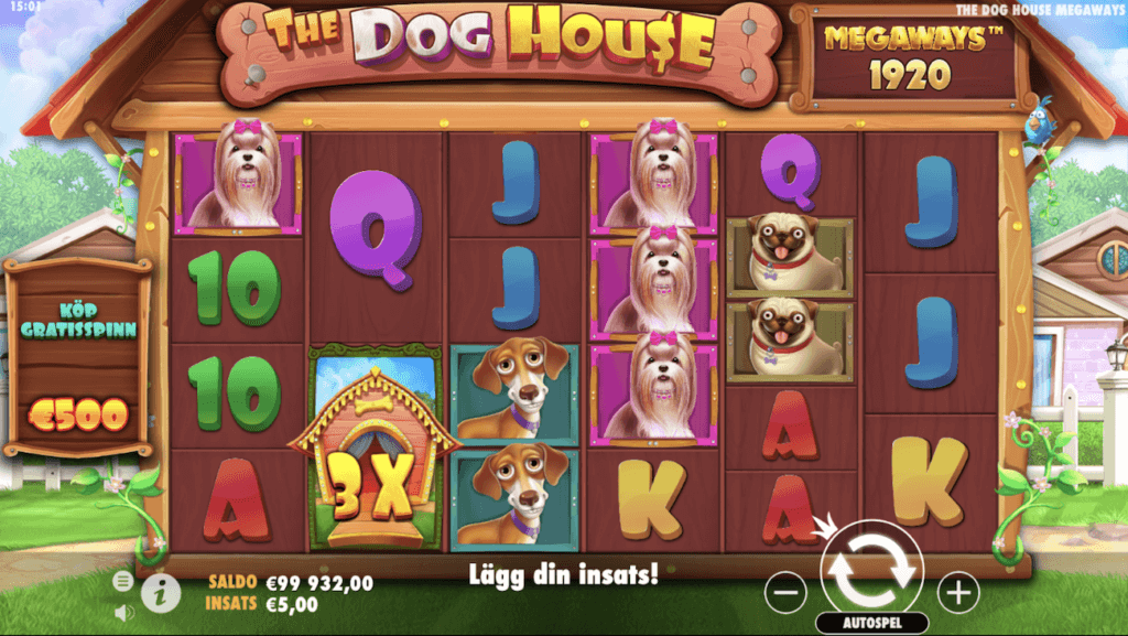 The Dog House