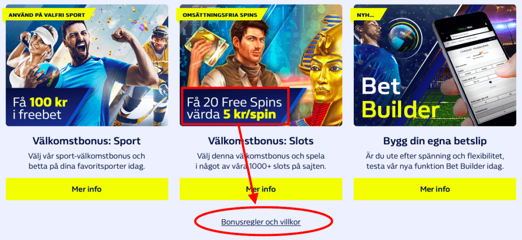 Regler och villkor för casino bonusar