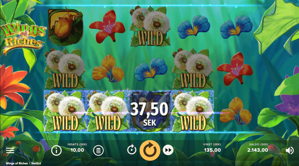Wings of Riches Wilds