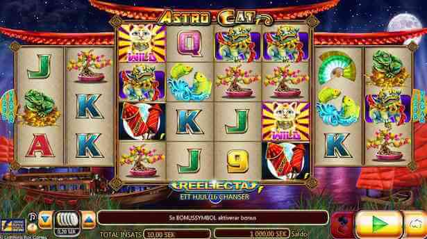 Astro Cat Slot