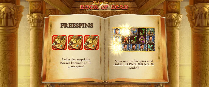 Lucky Days erbjuder free spins på Book of Dead.