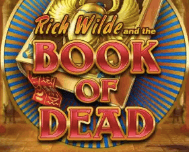 Play'n Go Book of dead.
