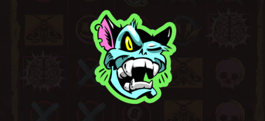 Chaos Crew Cranky Cat