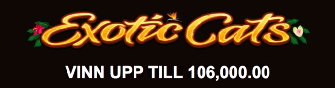 Exotic Cats Slot Bonus