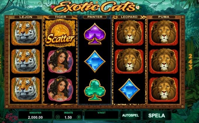 Exotic Cats Slot