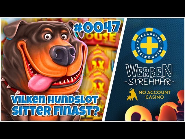 Sveacasino - Recenserar Dog House serien!