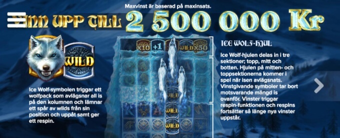 Ice Wolf Slot Bonus