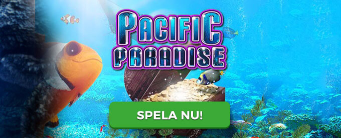 Pacific Paradise banner