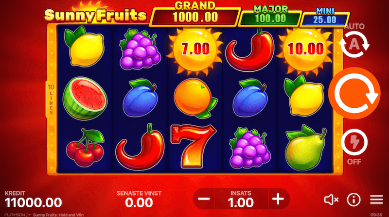 Sunny Fruits slot.