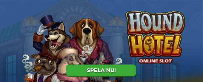 Hound Hotel banner