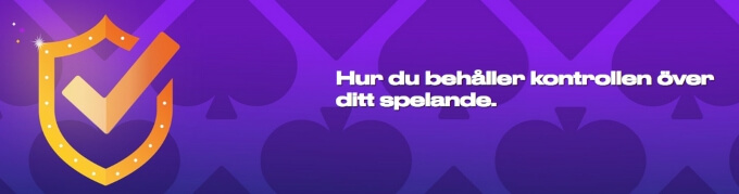 Party Casino Ansvarsfullt spel