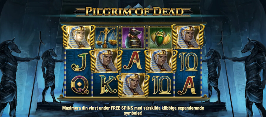 Pilgrim of Dead intro