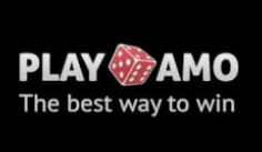 Playamo casino.