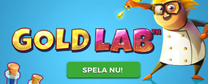 Gold Lab banner