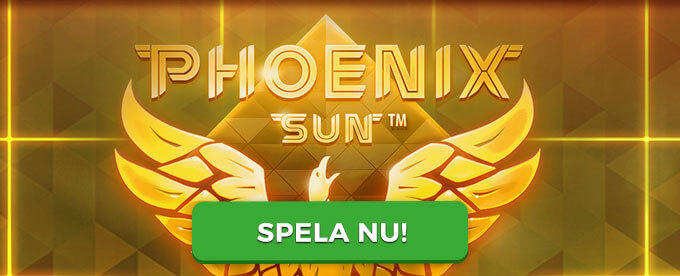 Phoenix Sun banner