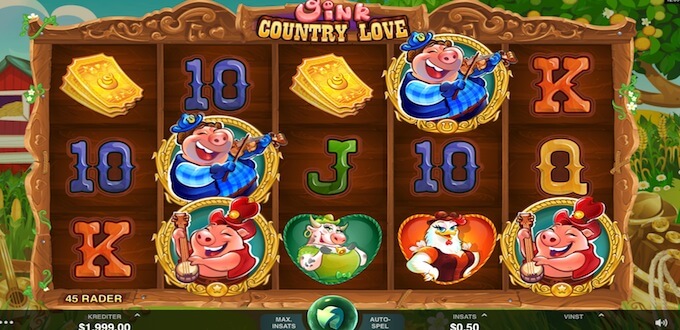 Oink Country Love spelplan