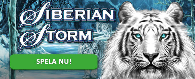 Siberian Storm banner