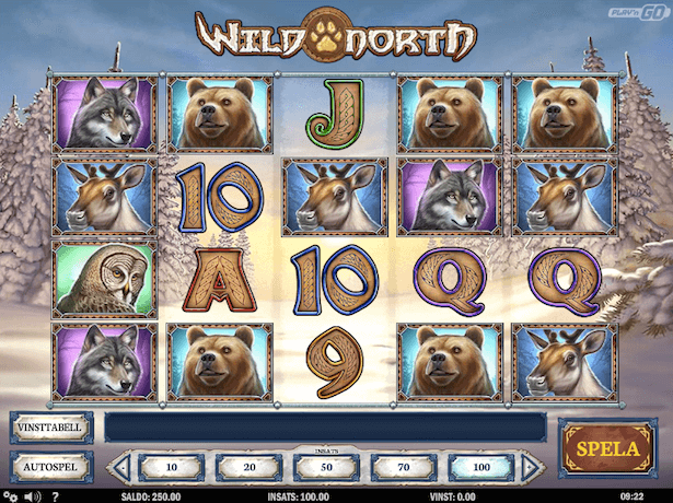 Wild North Bonus Wild North Bonus